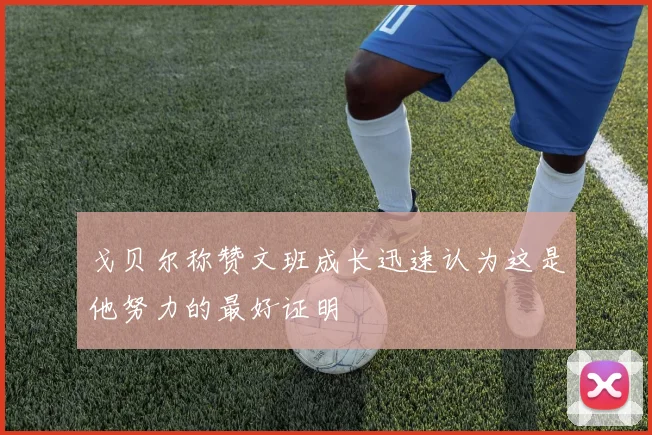 戈贝尔称赞文班成长迅速认为这是他努力的最好证明
