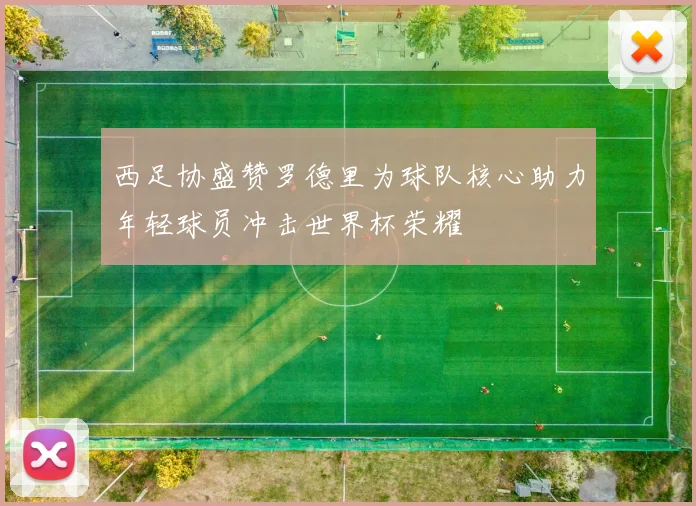 西足协盛赞罗德里为球队核心助力年轻球员冲击世界杯荣耀